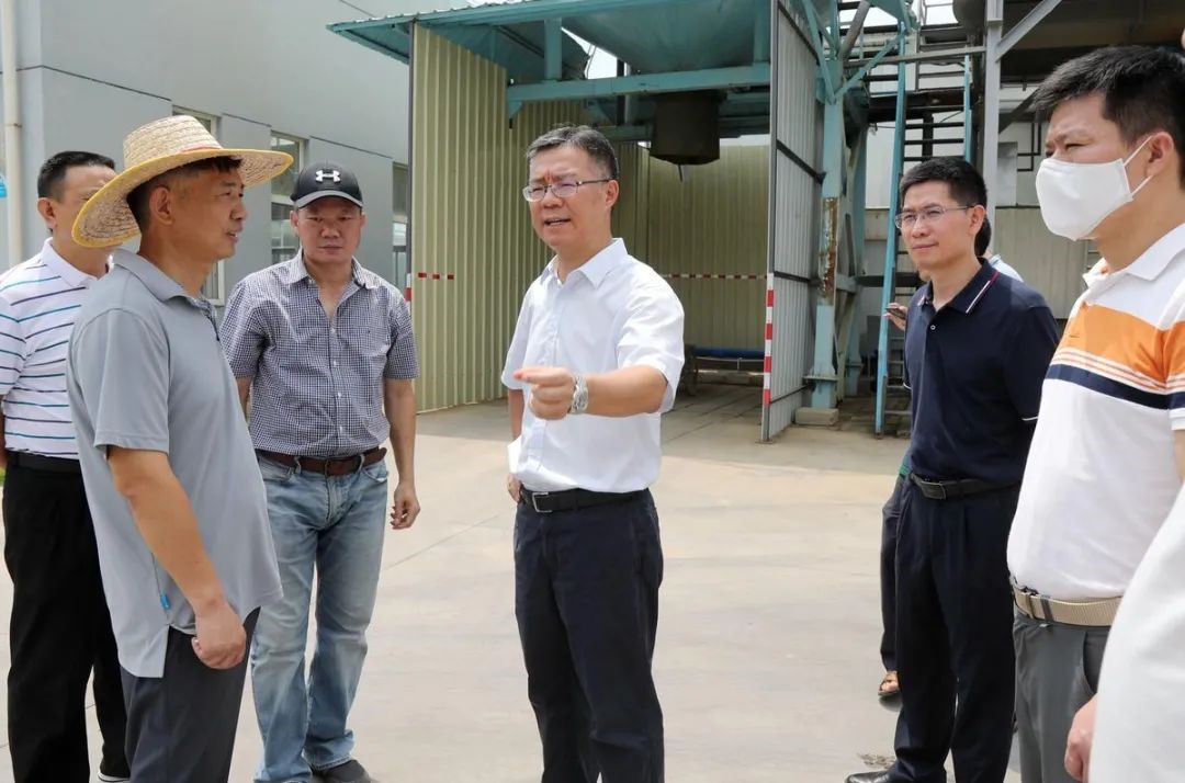 綠潤新聞 | 金灣區(qū)委書記帶隊(duì)考察，三灶項(xiàng)目再獲認(rèn)可